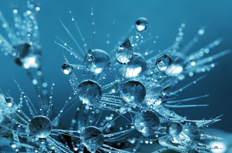 Water Filter